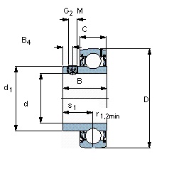   SKF YAT 205